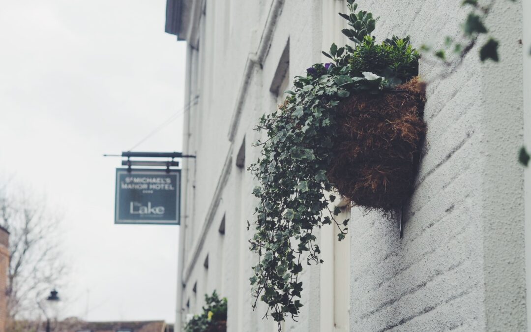 February Roundup | Aqua Wealth Management