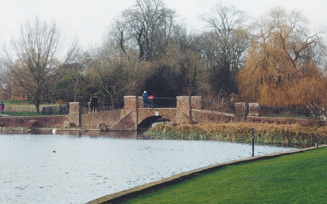 March Roundup | Aqua Wealth Management | Financial Advisers St Albans